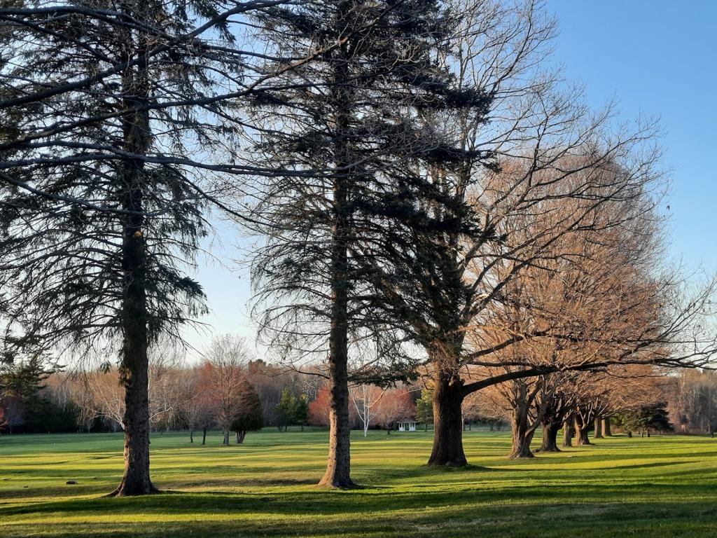 mullett-lake-country-club-1755470425038