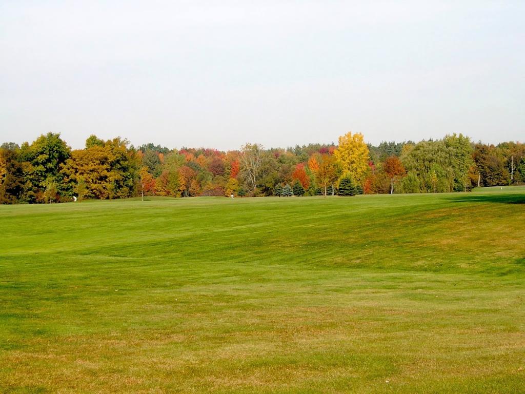 terra-verde-golf-course-banquet-center-5