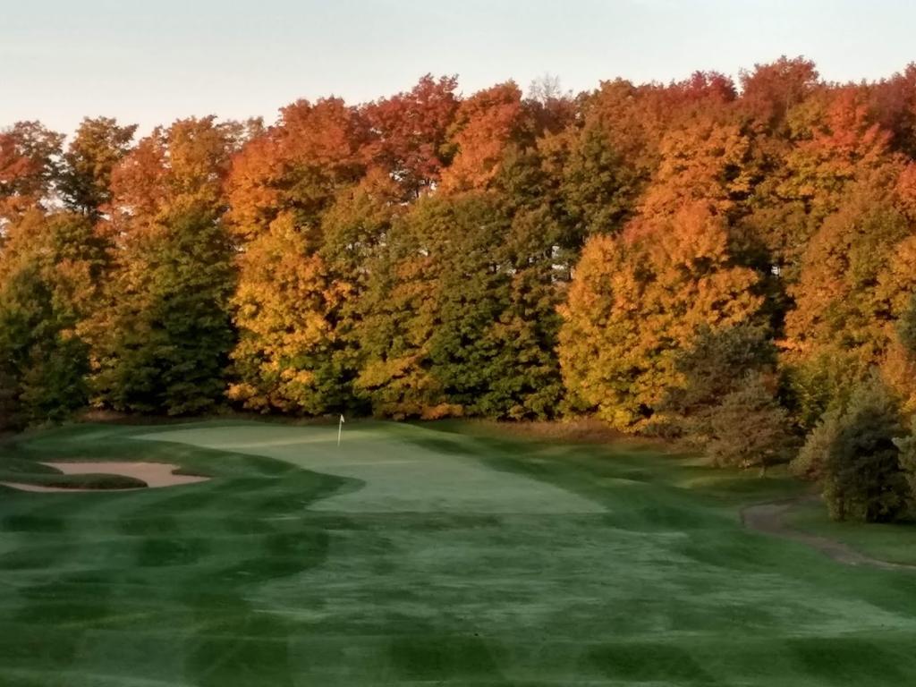 timber-wolf-golf-club-1755478241192