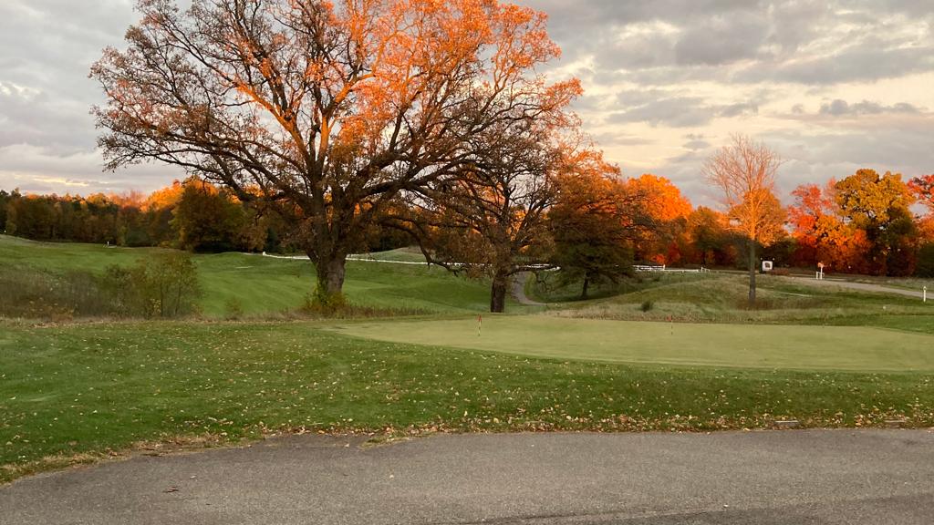 timber-trace-golf-club-3