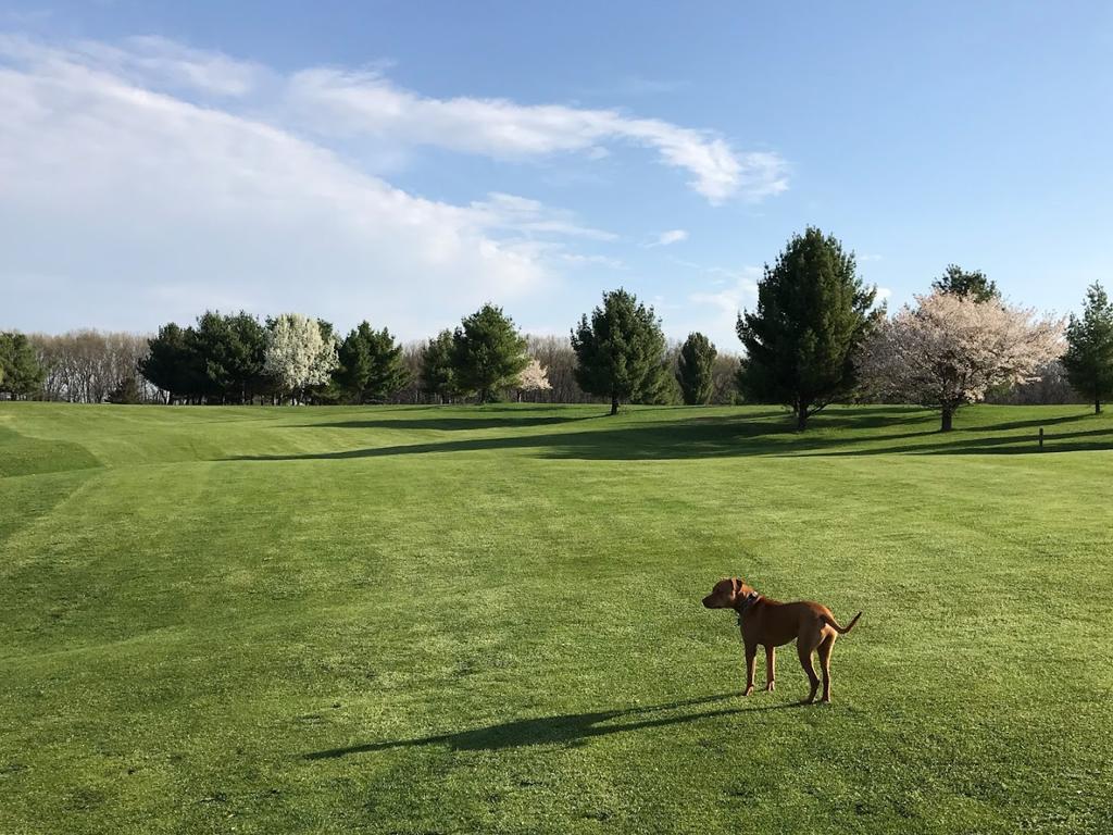 hickory-ridge-golf-course-driving-range-1755490579342