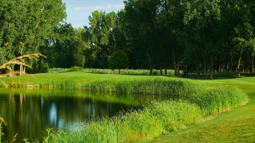 taylor-meadows-golf-club-1755494891244