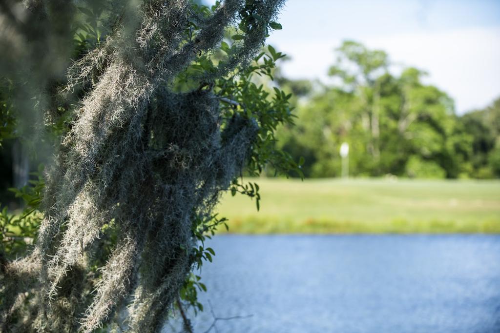 sunkist-country-club-5