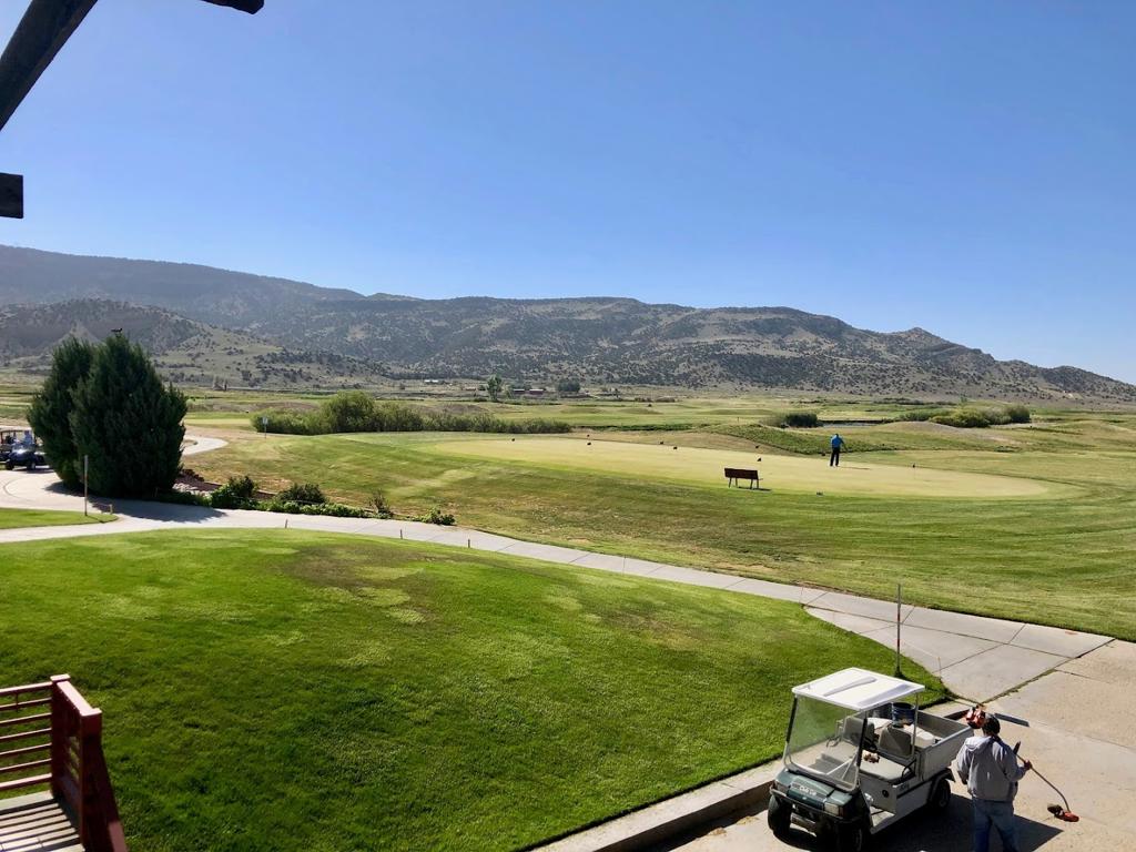 coyote-del-malpais-2