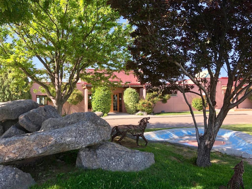 coyote-del-malpais-1755495080701