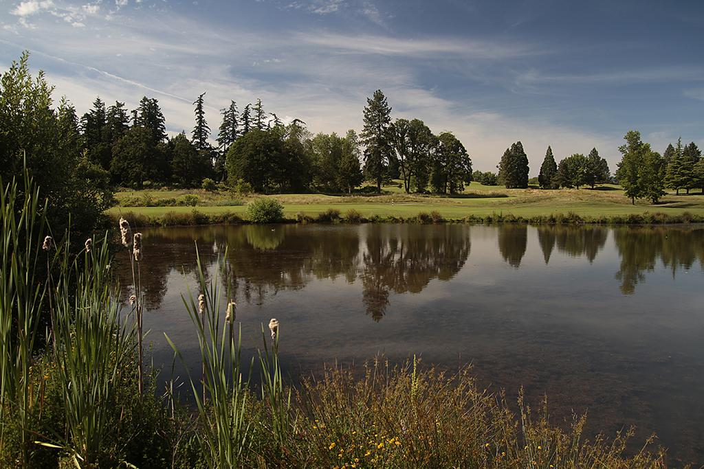 redtail-golf-center-1755466600662