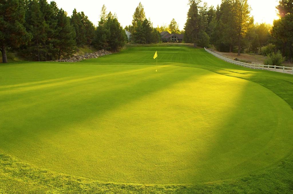 old-back-nine-golf-course-1755468419703