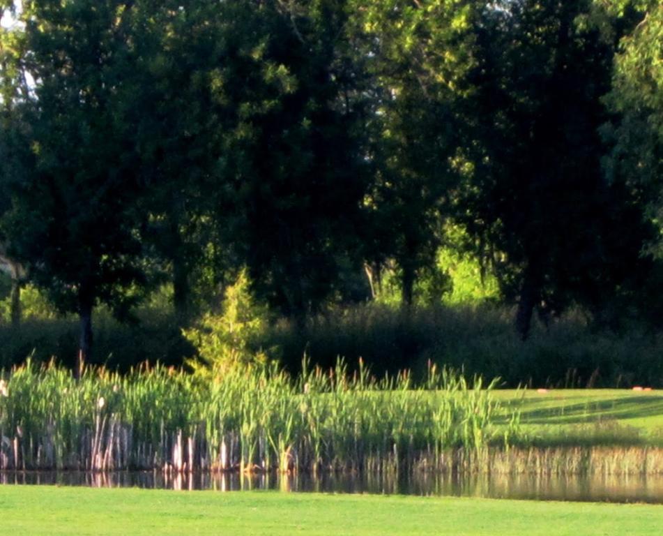 cross-creek-golf-course-1755474843276