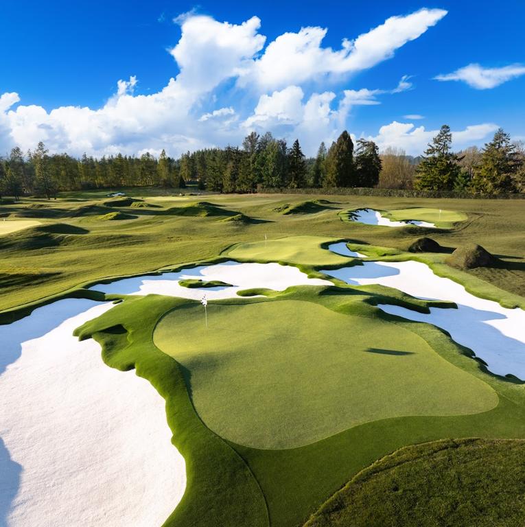 shortland-golf-club-1755476551939