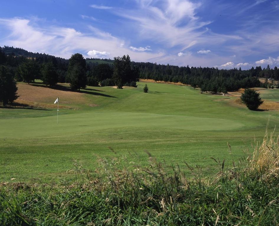 diamond-woods-golf-course-1755496039649