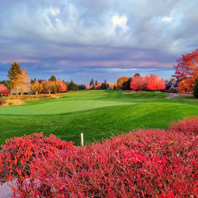 oga-golf-course-1755496052566