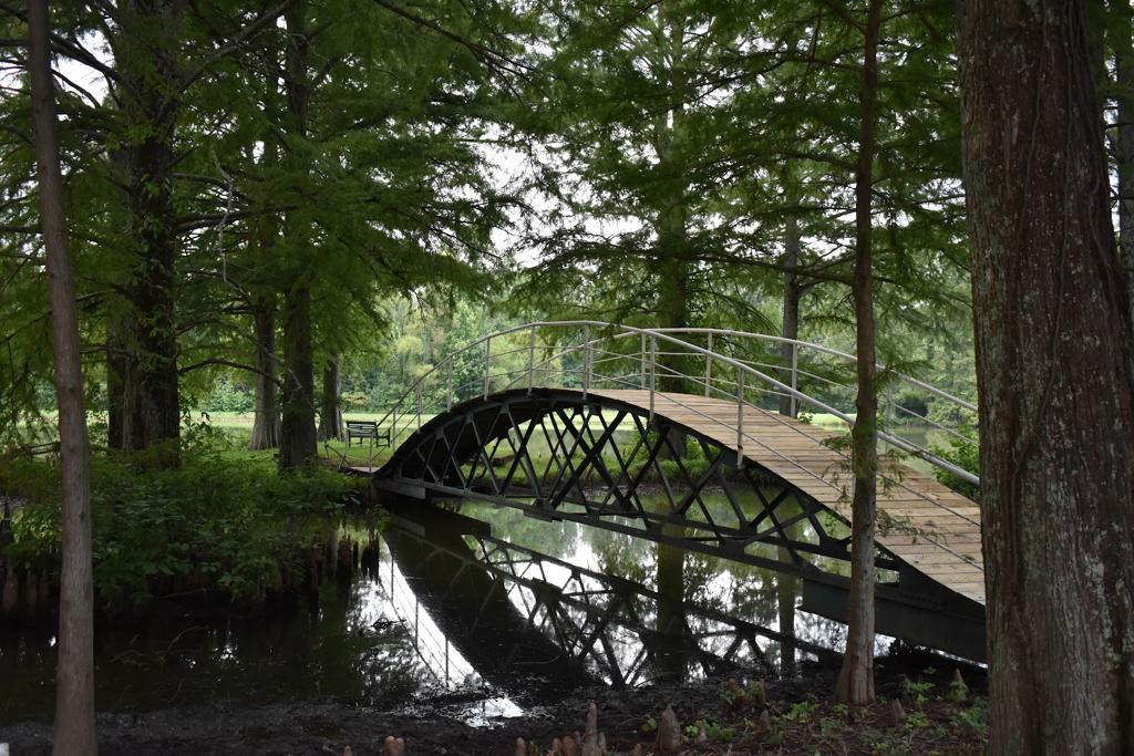 serendipity-brownsvilles-venue-resort-and-rv-park-1755469549906