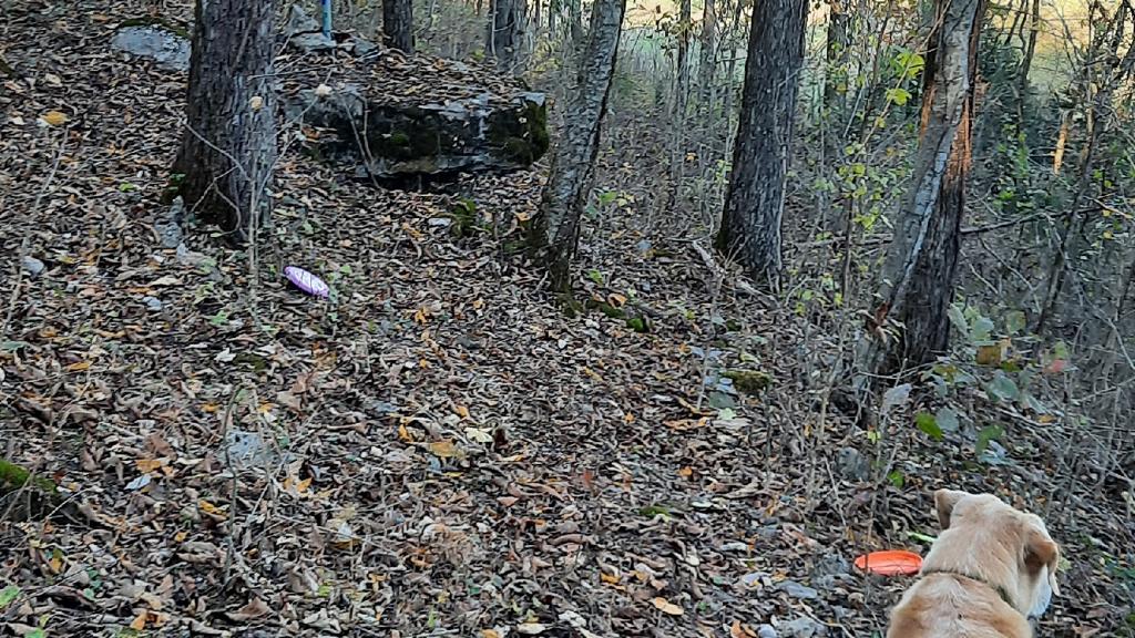 burde-ridge-disc-golf-1