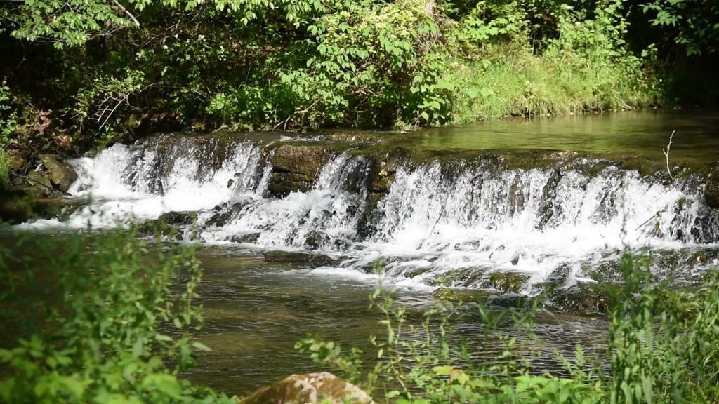 mouse-creek-golf-course-3