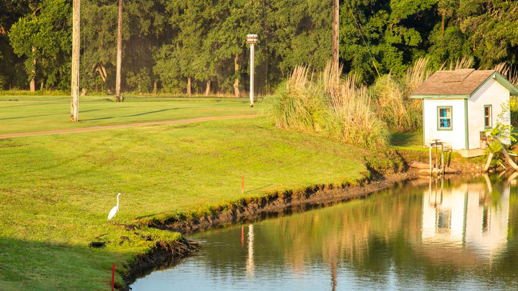 hank-haney-golf-ranch-at-vista-ridge-1755475912385