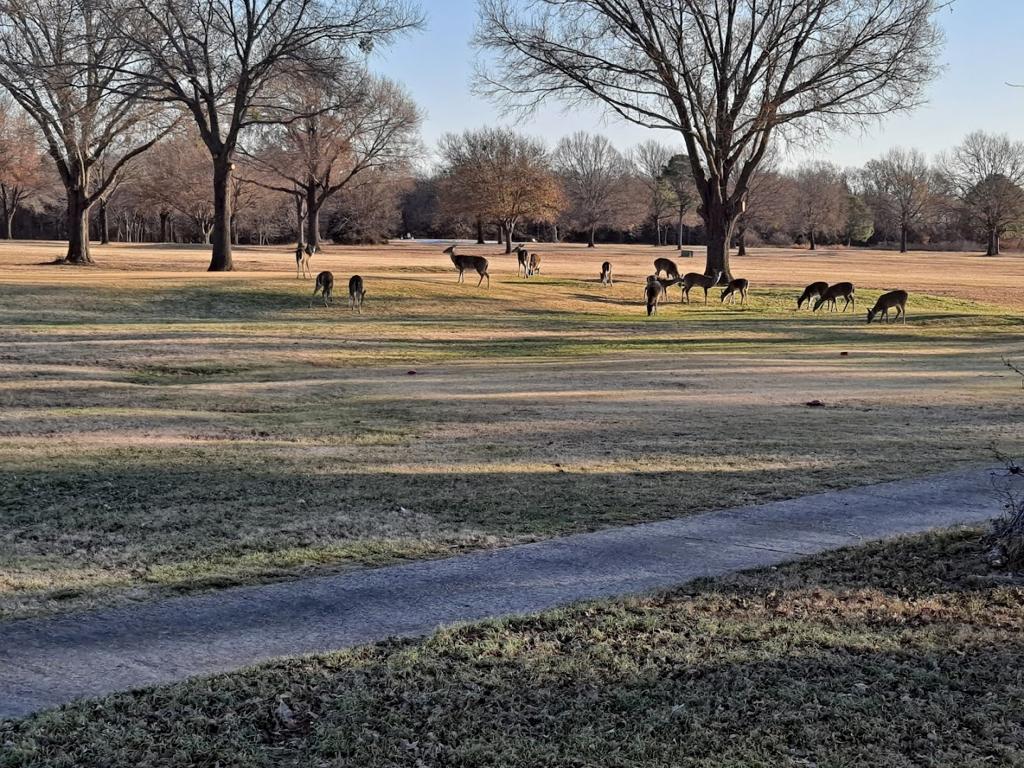 deer-run-golf-club-5