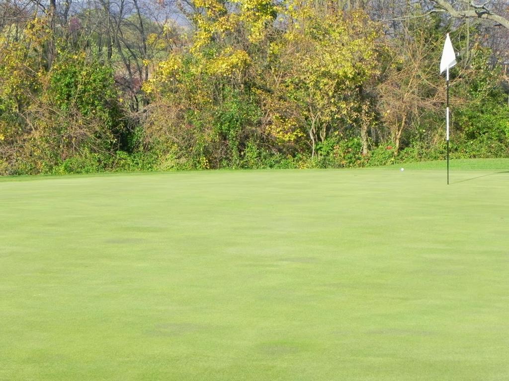 shenvalee-golf-resort-1755466288063