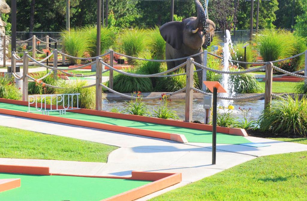 putt-putt-golf-course-charlottesville-va-1